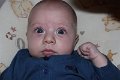 02-01-2011 00-06-46 (Large)
